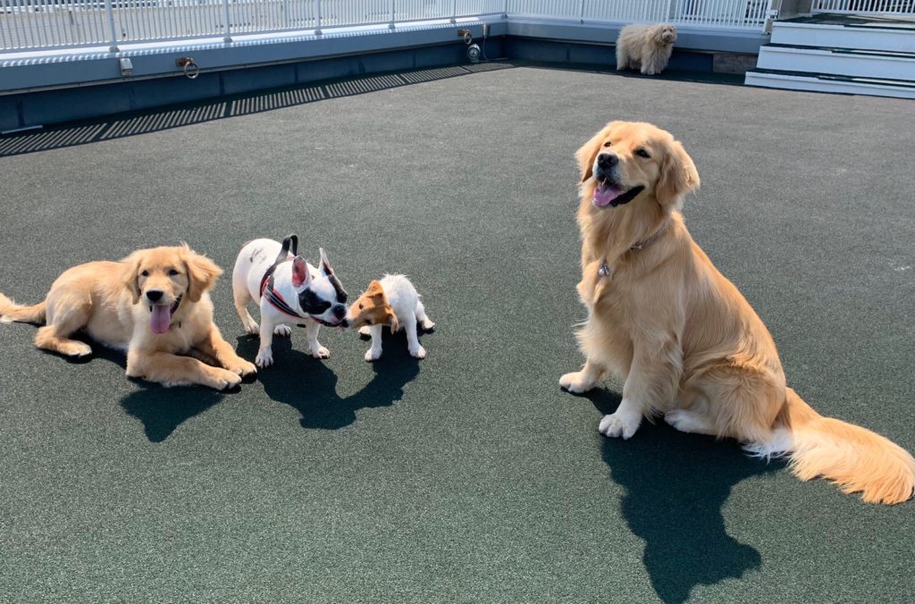 ファイル 7540-2.jpeg