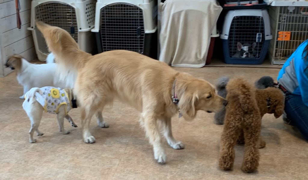 ファイル 7540-5.jpeg