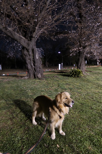 ファイル 7543-2.jpg