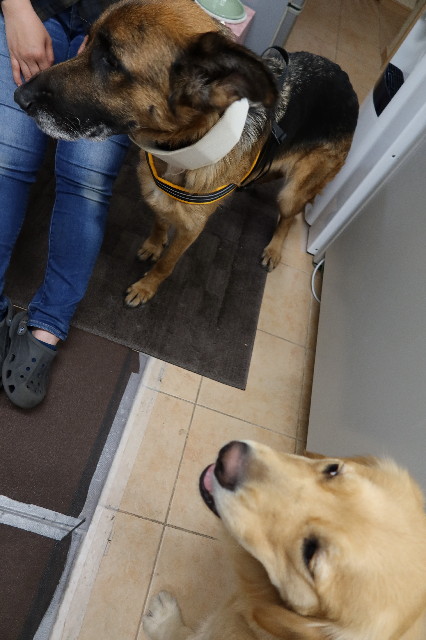 ファイル 7548-3.jpg