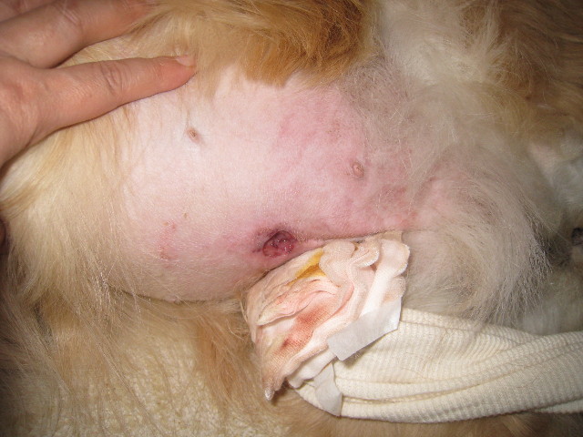 ファイル 755-3.jpg