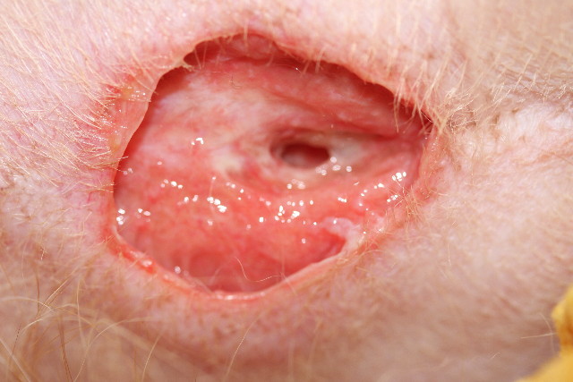 ファイル 755-4.jpg