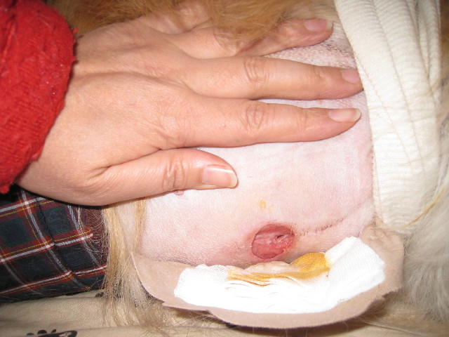 ファイル 755-5.jpg