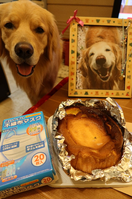 ファイル 7550-5.jpg