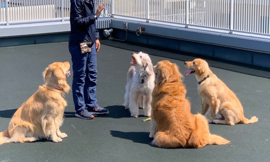 ファイル 7551-5.jpeg