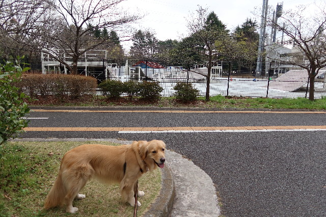 ファイル 7552-3.jpg