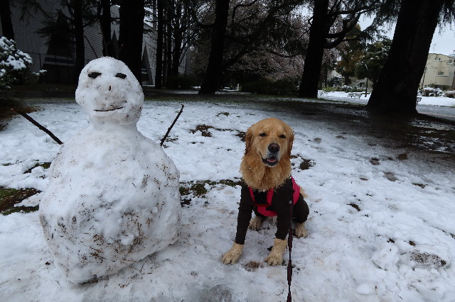 ファイル 7555-2.jpg