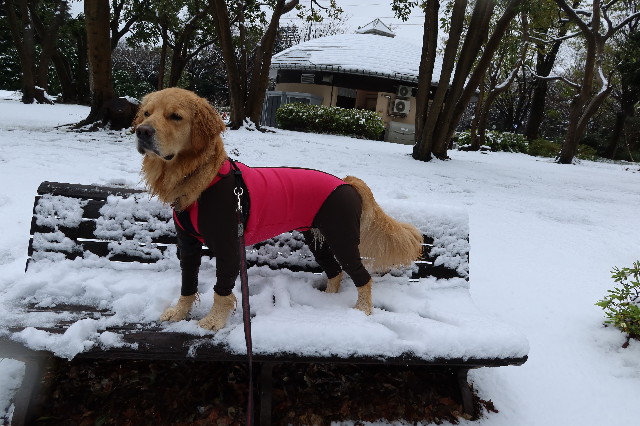 ファイル 7555-3.jpg