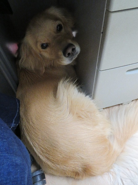 ファイル 7557-1.jpg