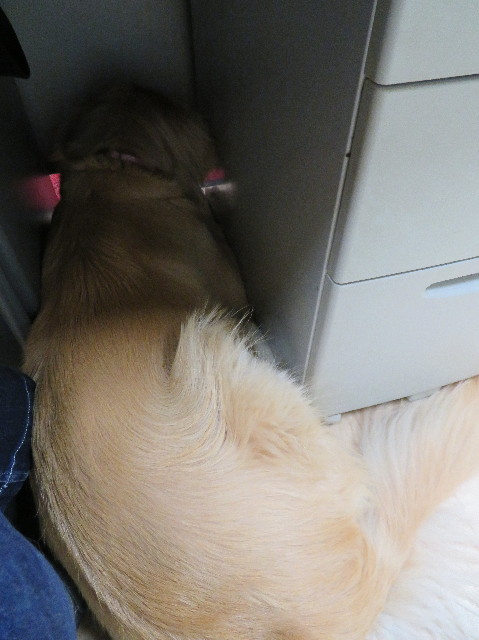 ファイル 7557-2.jpg