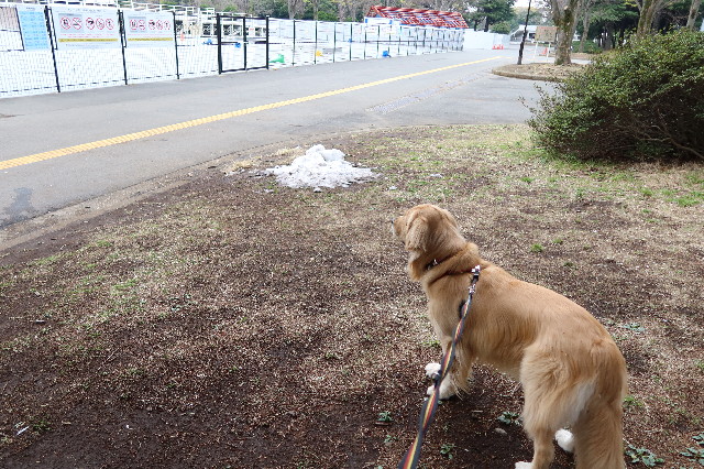 ファイル 7558-3.jpg