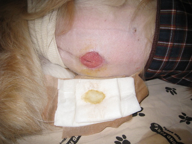 ファイル 756-1.jpg