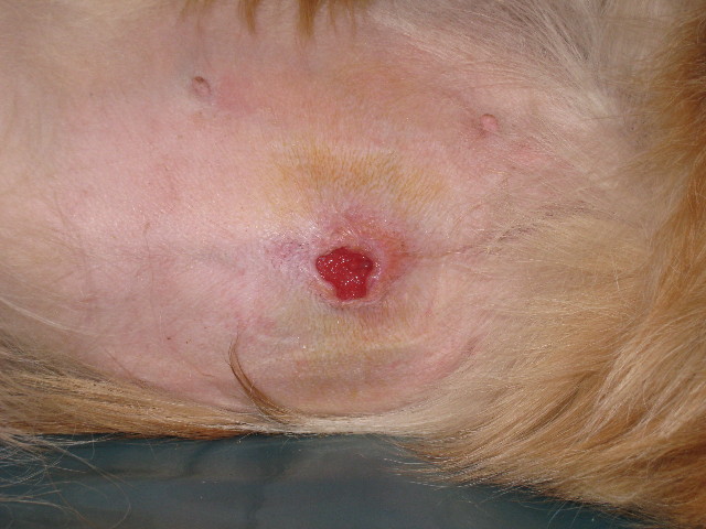 ファイル 756-4.jpg