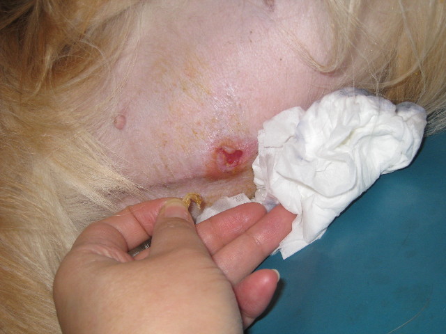 ファイル 756-5.jpg