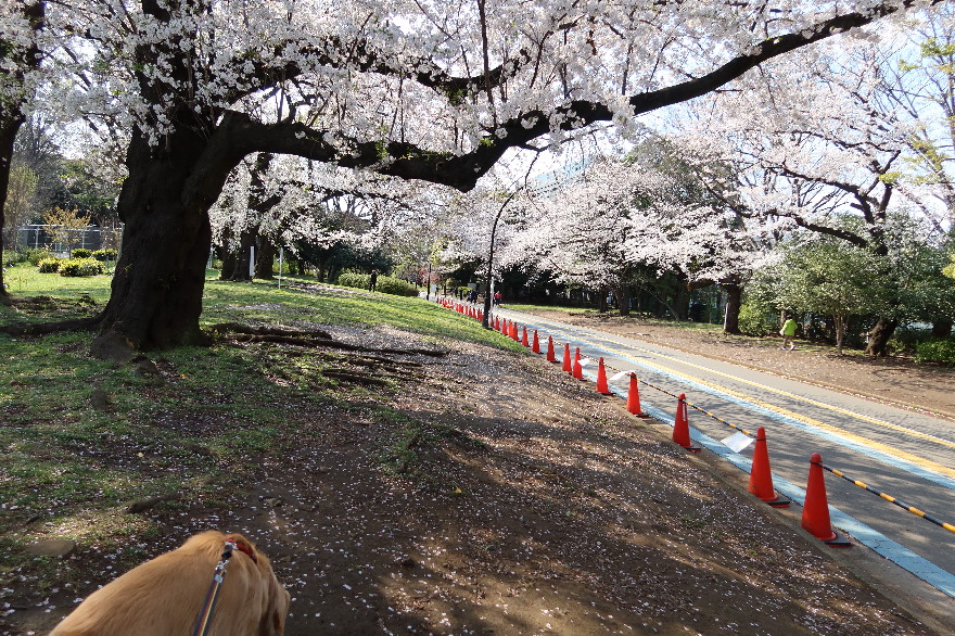 ファイル 7560-5.jpg