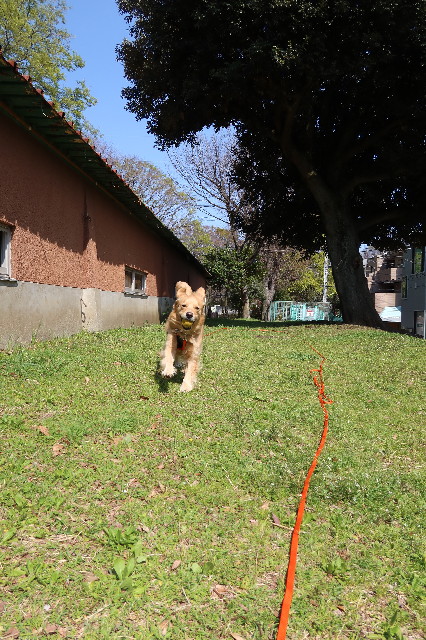 ファイル 7561-1.jpg