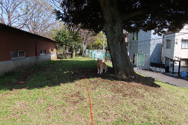 ファイル 7561-4.jpg