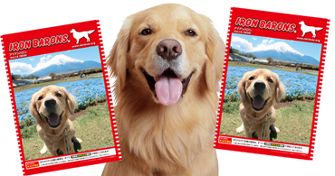 ファイル 7562-3.jpg