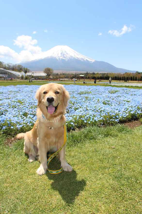 ファイル 7562-5.jpg