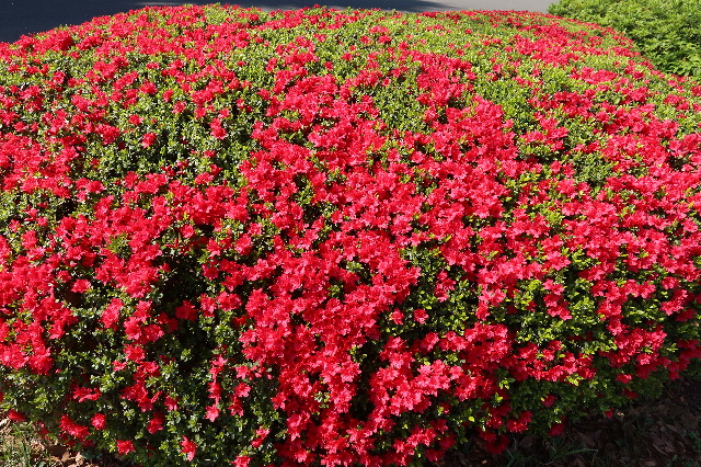 ファイル 7563-4.jpg