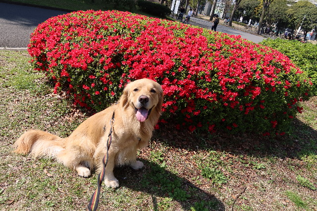 ファイル 7564-4.jpg