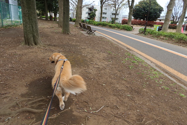 ファイル 7566-1.jpg