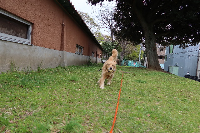 ファイル 7566-2.jpg