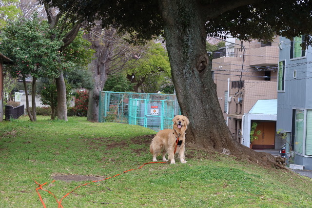 ファイル 7566-3.jpg