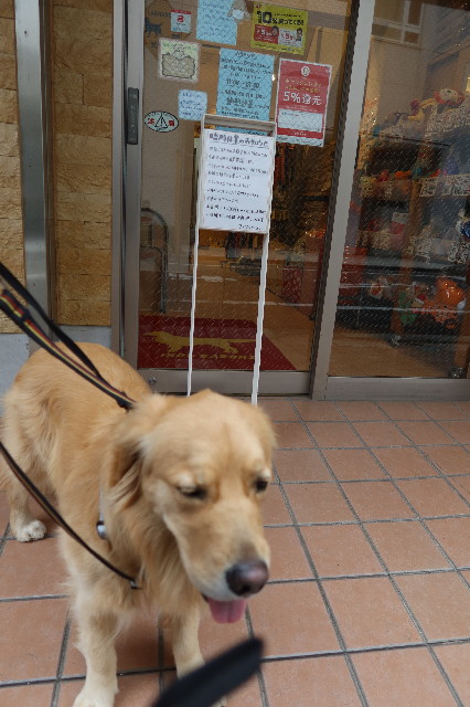 ファイル 7566-5.jpg