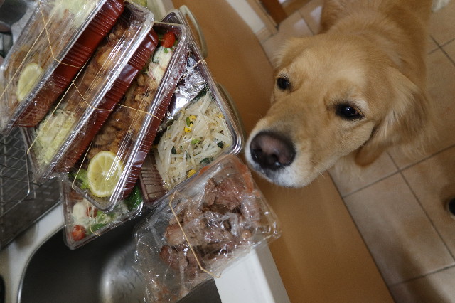 ファイル 7568-3.jpg