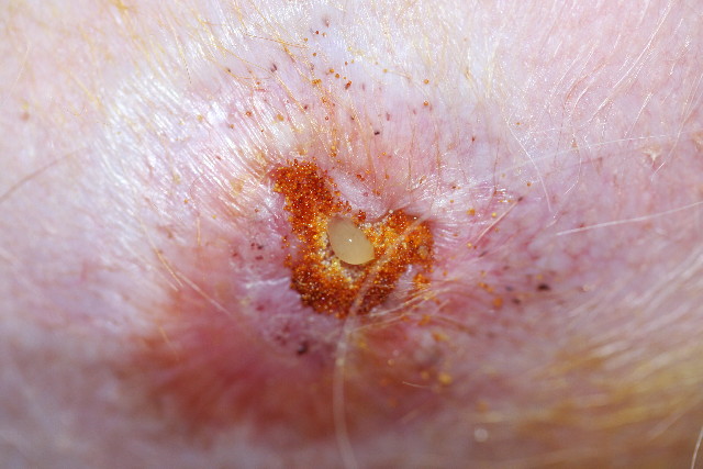 ファイル 757-1.jpg