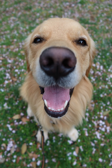 ファイル 7571-3.jpg