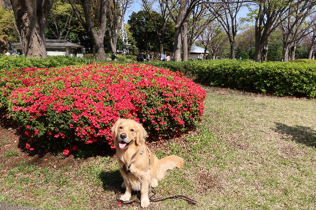 ファイル 7571-4.jpg