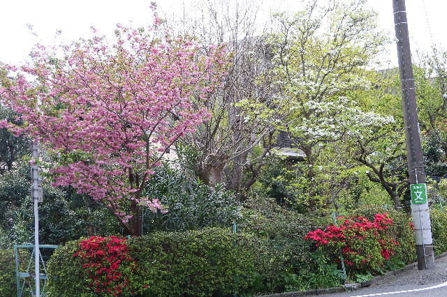 ファイル 7572-3.jpg