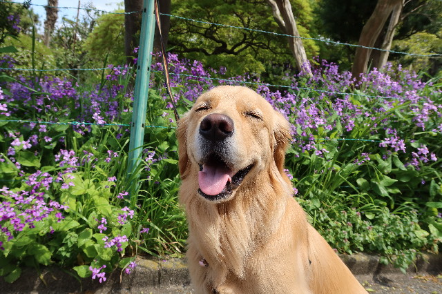 ファイル 7574-2.jpg