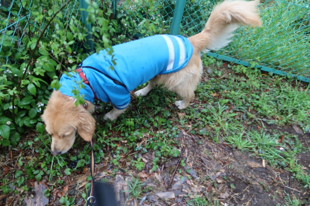 ファイル 7575-5.jpg