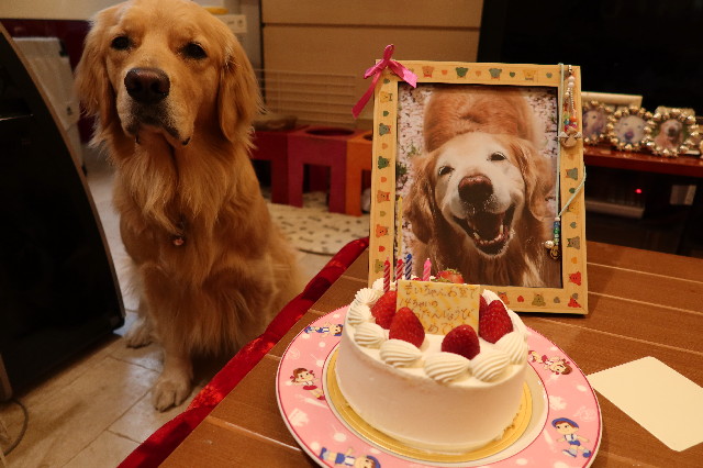 ファイル 7578-1.jpg