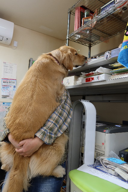 ファイル 7578-3.jpg