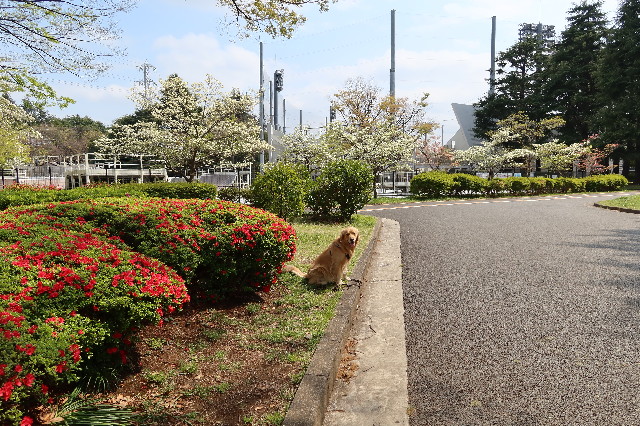 ファイル 7578-5.jpg