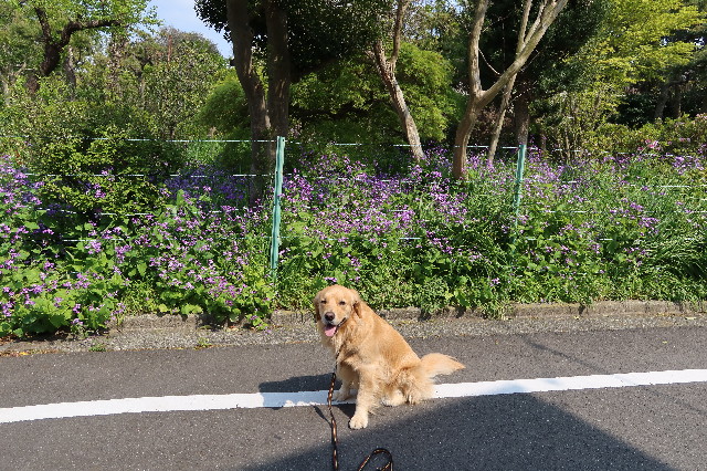 ファイル 7579-3.jpg