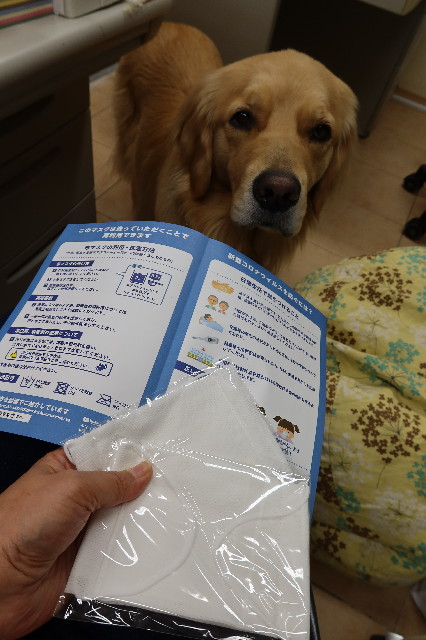 ファイル 7579-5.jpg