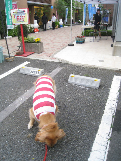 ファイル 758-4.jpg