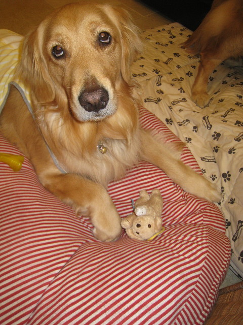 ファイル 758-5.jpg