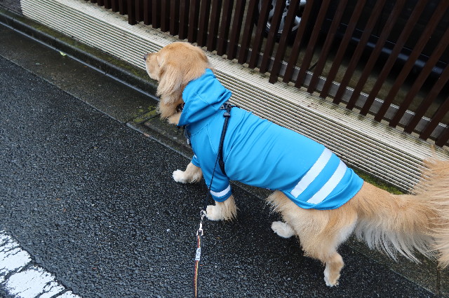 ファイル 7580-2.jpg