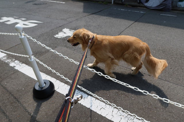 ファイル 7581-2.jpg