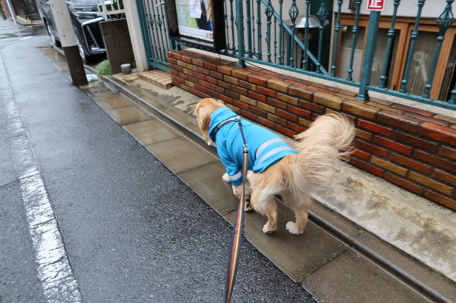 ファイル 7583-1.jpg