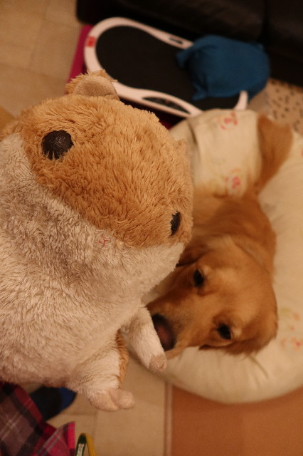 ファイル 7587-2.jpg