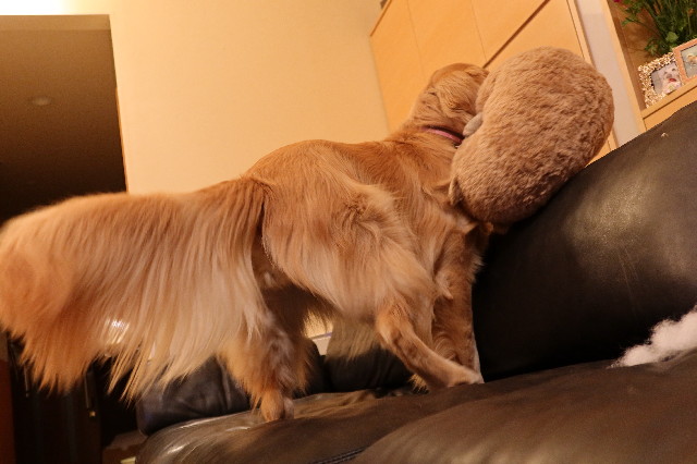 ファイル 7587-3.jpg