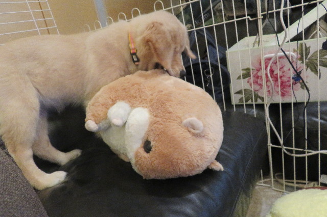 ファイル 7587-4.jpg