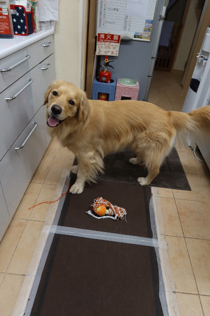 ファイル 7589-4.jpg